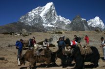 IMG_8219 zum Thokla Pass Yaks und Gruppe.jpg